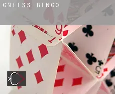 Gneiss  Bingo