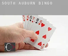 South Auburn Bingo