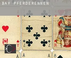 Bay Pferderennen