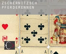 Zschernitzsch Pferderennen