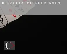 Berzelia Pferderennen
