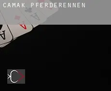 Camak Pferderennen