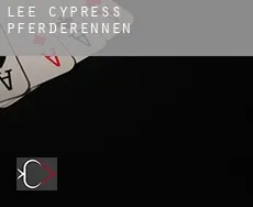 Lee Cypress Pferderennen