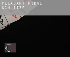 Pleasant Ridge Schlitze
