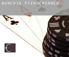 Nunchía Pferderennen