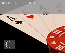 Bixler Bingo