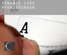 Canobie Lake  Pferderennen