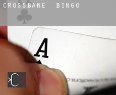 Crossbane Bingo