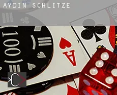 Tralleis Schlitze