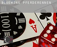 Bluewing  Pferderennen