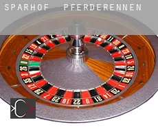 Sparhof Pferderennen