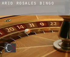 Ario de Rosales Bingo