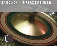 Babcock Pferderennen