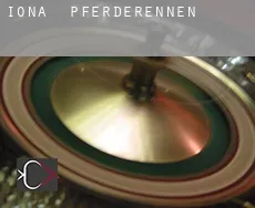 Iona Pferderennen