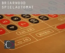 Briarwood Spielautomat