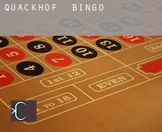 Quackhof Bingo