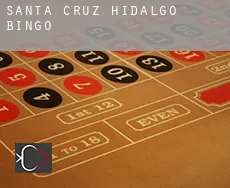Santa Cruz Hidalgo Bingo