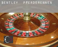 Bentley Pferderennen