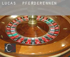 Lucas  Pferderennen
