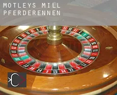 Motleys Mill  Pferderennen