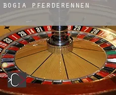 Bogia Pferderennen