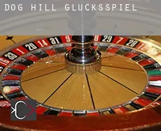 Dog Hill Glücksspiel