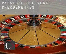 Papalote del Norte Pferderennen