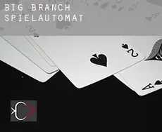 Big Branch Spielautomat