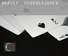 Napier Pferderennen