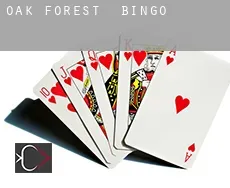Oak Forest Bingo