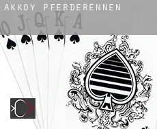 Akköy Pferderennen