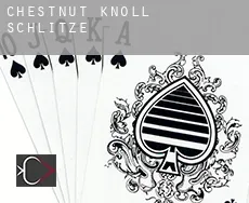 Chestnut Knoll Schlitze