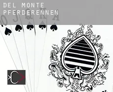 Del Monte  Pferderennen