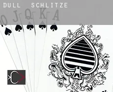 Dull Schlitze