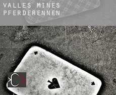 Valles Mines  Pferderennen