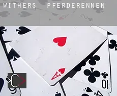 Withers  Pferderennen