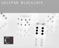 Calspur Blackjack
