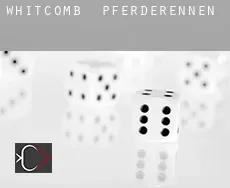 Whitcomb Pferderennen