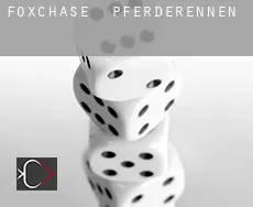 Foxchase Pferderennen
