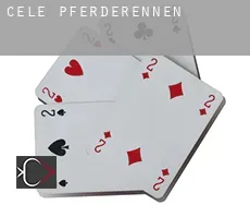 Cele Pferderennen