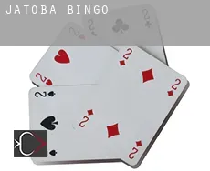 Jatobá Bingo