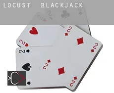 Locust Blackjack