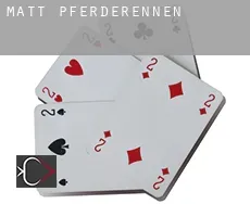 Matt Pferderennen