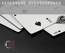 Askersund Municipality Pferderennen