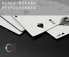 Burke Meadow Pferderennen