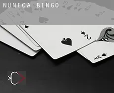 Nunica  Bingo