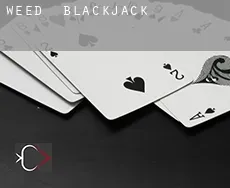 Weed Blackjack