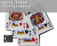 Creek Ridge Pferderennen