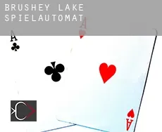 Brushey Lake  Spielautomat