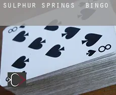 Sulphur Springs Bingo